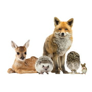 Details about   Fox vinyl decal sticker wall art decoration decor wildlife nature foxes